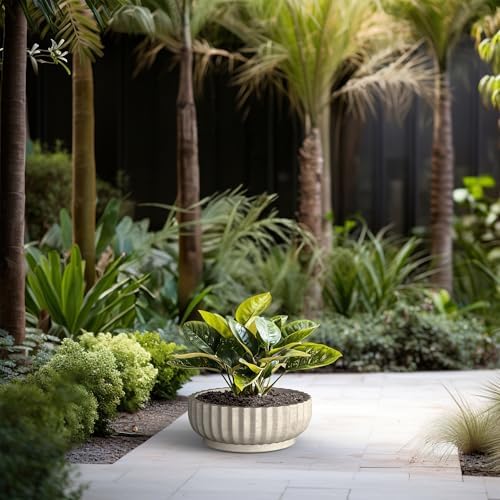 Kante Accent Round Shallow Weathered Concrete Planter 14.6" Dia, Outdoor - Image 3