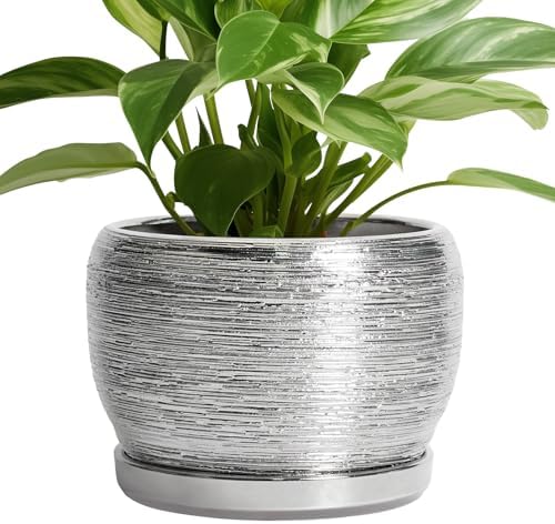 SQOWL Ceramic Pot for Plants - 8 Inch Planter with Drainage Hole and Saucer, Round Planter Indoor Outdoor, Modern Decorative Flower Pot, House Decor, Gifts for Plant Lovers, Silver by SQOWL