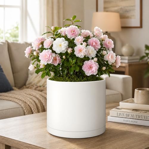 Giraffe Creation Cylinder Plant Pots 12/10/8 Inch Set of 3, Modern Round Planters with Drainage Holes and Saucers, Durable Plastic Flower Pots, White - Image 5