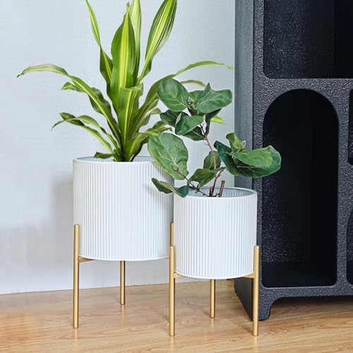 ARNIS Modern Planter Pots, Set of 2 Round Large Planters with Stand, Decorative Floor Planters, Metal Pots with Drainage Holes for Living Room, Office, Garden or Balcony, 8.25 &10.5 Inch, White & Gold by ARNIS