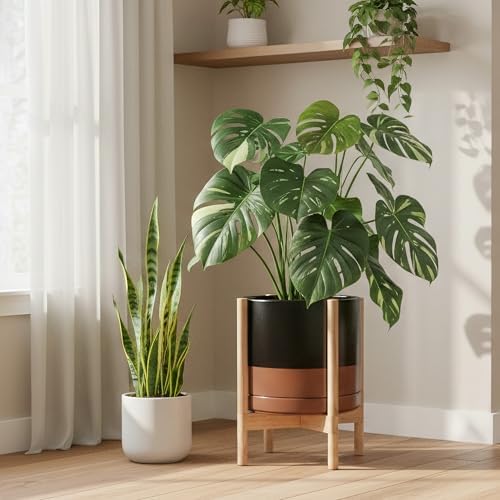 D'vine Dev Ceramic Pot with Natural Wood Stand, Black/Tan, 14 in, 55-B-R-7 - Image 4