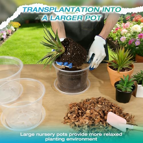 8 Inch Clear Nursery Pots with Drainage and Sacuers, 8 Pack Plastic Pots for Plants Indoor Outdoor, Large Clear Pots for Flowers, Succulents (8inx8pcs) - Image 5