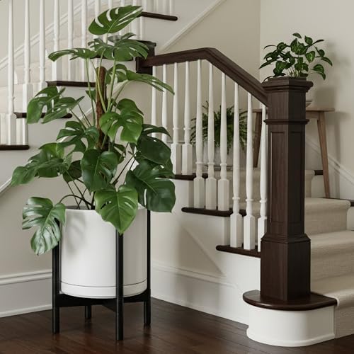 D'vine Dev Ceramic Pot with Ebony Wood Stand, White, 14 in, 55-B-S-1 - Image 4
