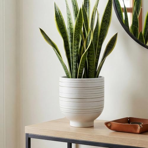 HERDUK Modern Ceramic Pottery Planter for Indoor Plants, White Minimalist Indoor Planter with Drainage, Contemporary Decorative Pot for Living Room, Office & Shelf Styling by Herduk