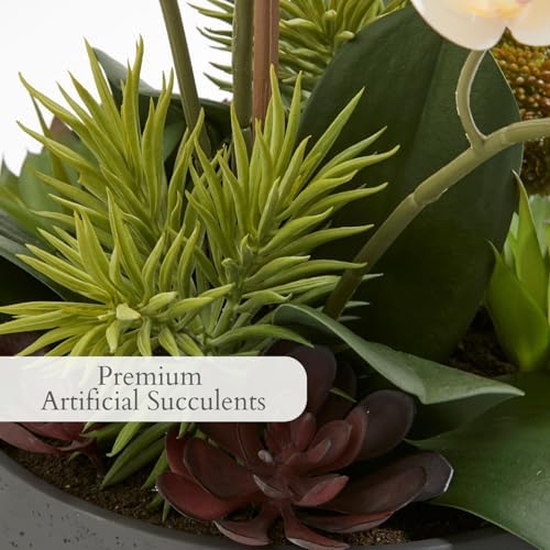 CG Hunter, Faux Orchid Plant w/Succulents, 24 in, Grey, Home Decor - Image 4