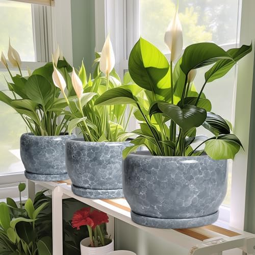 SQOWL 8 inch Plant pots Indoor - Ceramic Planter with Drainage Hole and Plant Saucer, Decorative Ceramic Flower Pot Outdoor, Modern Round Planter, Patio Porch Garden Decor, Garden Gifts, Gray - Image 6