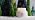 Capri Blue Volcano Scented, Glass Jar Candles for Home with Tropical Fruit & Sugared Citrus, Soy Wax Blend, White Color (19 Oz) - Image 7