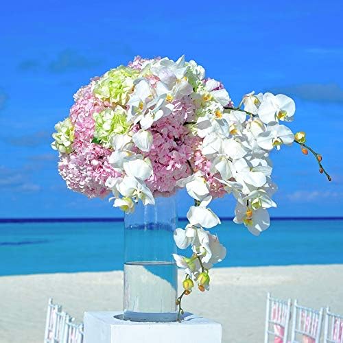 WGV Cylinder Vase, Width 7", Height 16", Clear Wide Large Diameter Flower Glassware, Floral Container, Planter Terrarium for Wedding Party Event, Home Accent Decor, 1 Piece - Image 5
