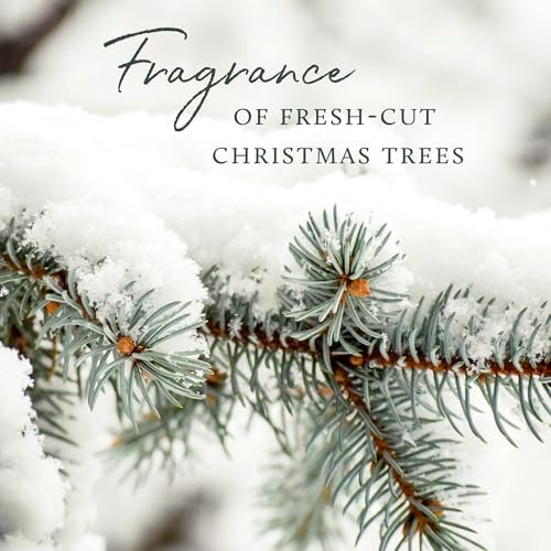 Thymes Frasier Fir Reed Diffuser Set – Includes Reeds, Fragrance Oil, and Frosted Glass Bottle – Fragrance Oil Diffuser – Room Fresheners – Luxury Home Decor – Green & Clear (Pine Needle, 4 fl oz) - Image 6
