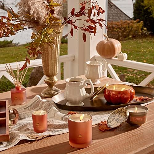 Thymes Petite Oil Reed Diffuser Set – Includes Reed Diffuser Sticks, Fragrance Oil, & Glass Bottle – Luxury Home Decor – Fall Decor – Fall Scents – Burnt Orange (Pumpkin Laurel, 4 fl oz) - Image 4
