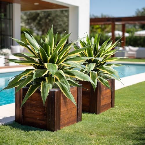 Artificial Agave Plant Fake Agave Planters for Indoor Outdoor Faux Agave Plants Real Touch Realistic Greenery for Home Living Room Office Bathroom Garden Front Porch Patio Decor (29inch-2 Pcs Yellow) - Image 5