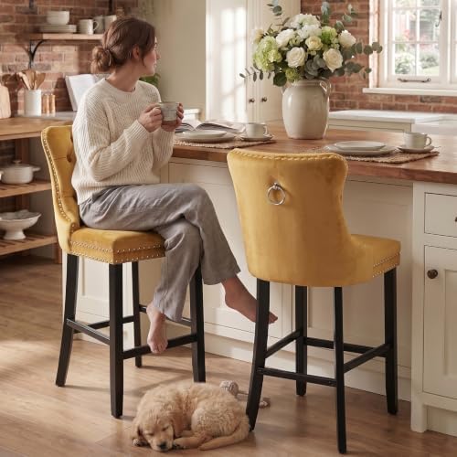 SoarFlash Modern Velvet Upholstered Bar Stools Set of 2 with Wood Legs, Button Tufted,Chrome Nailhead, Counterstool Seat, Armless Bar Chairs (Gold) - Image 3
