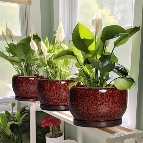 SQOWL Ceramic Flower Pots - 10 Inch Plant Pot Indoor, Ceramic Planter with Drainage Hole and Saucer, Round Decorative Large Planter Outdoor, Home Decor Living Room, Gifts for Plant Lovers, Red - Image 6