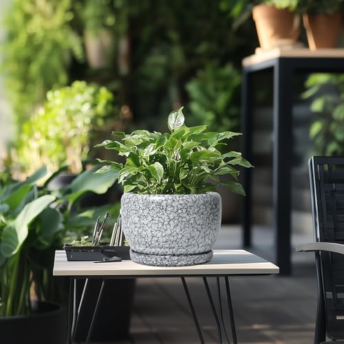 SQOWL 8 inch Plant Pot - Ceramic Planter with Drainage Hole and Saucer, Round Flower Pot for Indoor Plants, Decorative Planter Outdoor, Patio Balcony Decor, House Warming Gifts, Black and White - Image 5