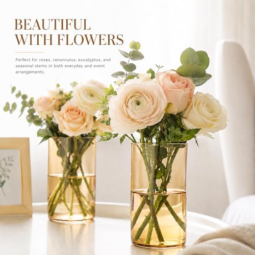 TBWIND 12pcs 6 Inch Gold Amber Glass Cylinder Vases for Centerpieces - Image 5