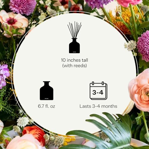 Apotheke Scented Reed Diffuser for Home, Charcoal Rouge, 10 Reed Sticks - Image 4