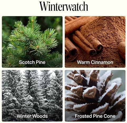 Preston Lane Scented Candle 24oz Long-Burn 3-Wick Soy Wax - Winterwatch - Image 6