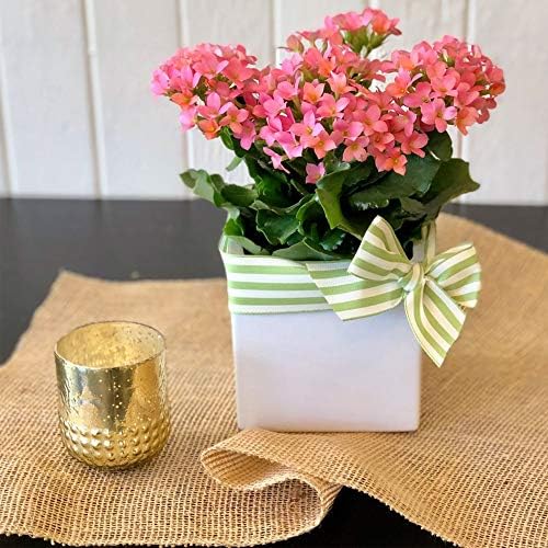 WGV Ceramic Cube Vase Bulk Width 4" Height 4" (Fits 3" Pot) Elegant Modern Block Square Floral Planter Terrarium Container Table Dresser for Event Accent Home Office Decor White 12 Pieces - Image 5