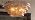 YIOSI Modern Amber Glass Chandelier，23" Gold Round Chandelier for Dining Room, 4-Light Round Drum Kitchen Island Hanging Light Fixture Perfect for Living Room, Bedroom,Kitchen, Foyer - Image 7