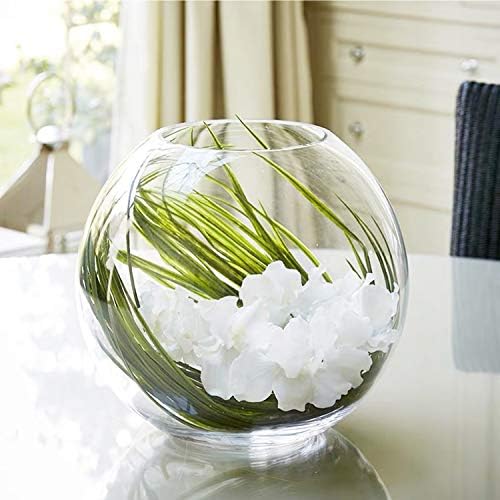 WGV Bowl Glass Vase, Diameter 6", Height 5", Open Width 4", (Multiple Sizes Choices) Clear Bubble Planter Terrarium Fish Bowl for Wedding Event Home Decor, 1 Piece (VBW0006) - Image 6