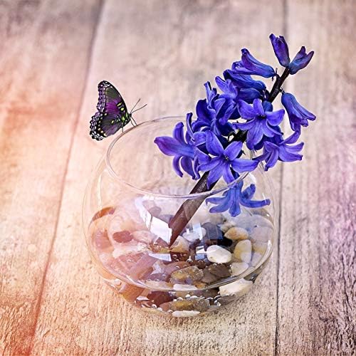 WGV Bowl Glass Vase, Diameter 8", Height 6.5", Open Width 3.75", (Multiple Sizes Choices) Clear Bubble Planter Terrarium Fish Bowl for Wedding Event Home Decor, 1 Piece (VBW0008) - Image 5