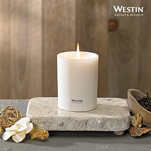 Westin White Tea Candle - Hand-Poured, Soy Candle with Signature White Tea Scent - 12.5 oz. - Set of 3 - Image 6