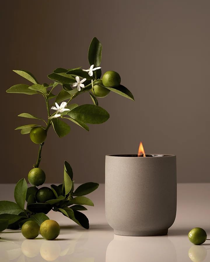 Homecourt by Courteney Cox Luxury Scented Candle, Neroli Leaf, 8 oz by Homecourt