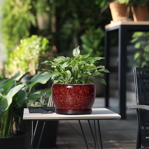 SQOWL Ceramic Plant Pots - 8 inch Planter with Drainage Hole and Tray, Round Ceramic Planter for Indoor Outdoor, Modern Decorative Flower Pot, Home Room House Decor, Plant Lovers Gifts, Red - Image 5