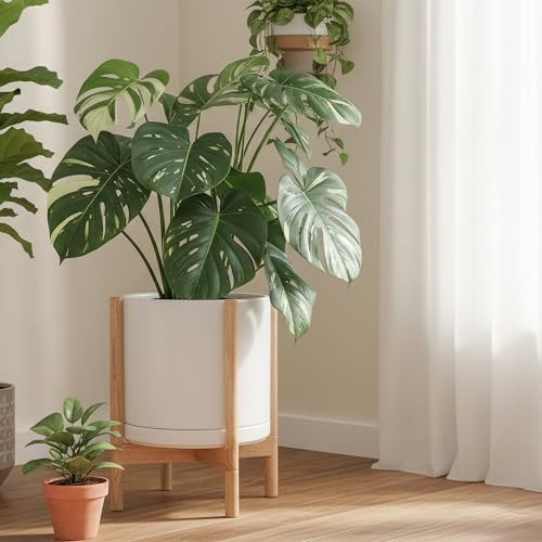 D'vine Dev Ceramic Pot with Natural Wood Stand, White, 14 in, 55-B-R-1 - Image 4