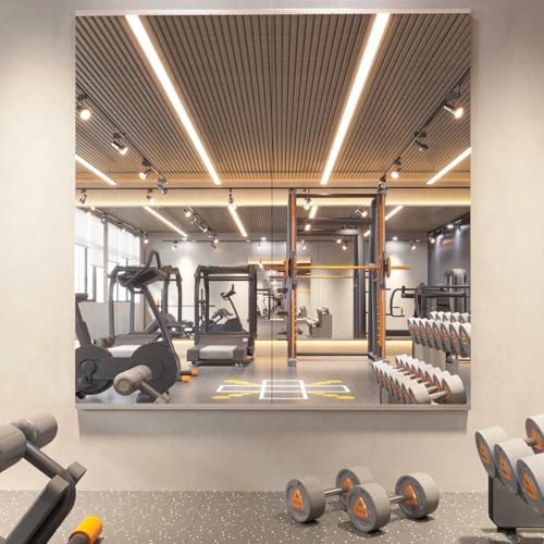 pertetey 71 x 24 in Home Gym Mirrors, Frameless, 2-Pack by PERTETEY