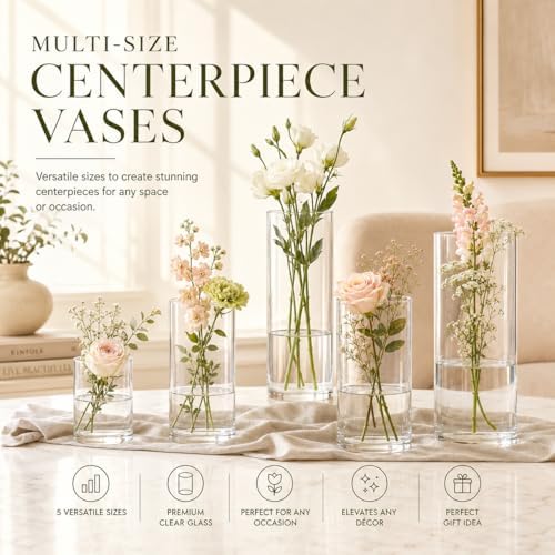 48pcs Glass Vase Cylinder for Centerpieces 4,6,7.5,8,8,10Inch Tall Small Flower Glass Clear Home Decor Centerpiece Table Flower Vase Decorations for Wedding＆Holiday - Image 3