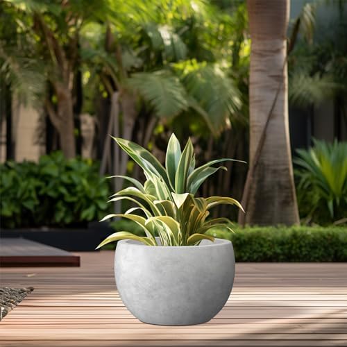 Kante Small Round Bowl Pale Gray Concrete Planter 11.8" Dia, Outdoor - Image 3