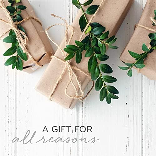 Thymes Frasier Fir Reed Diffuser Set – Includes Reeds, Fragrance Oil, and Frosted Glass Bottle – Fragrance Oil Diffuser – Room Fresheners – Luxury Home Decor – Green & White (Frosted Plaid, 4 fl oz) - Image 6