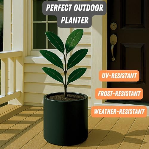 Fox & Fern Large Planter for Indoor or Outdoor, Black Matte, 10 Inch - Image 5