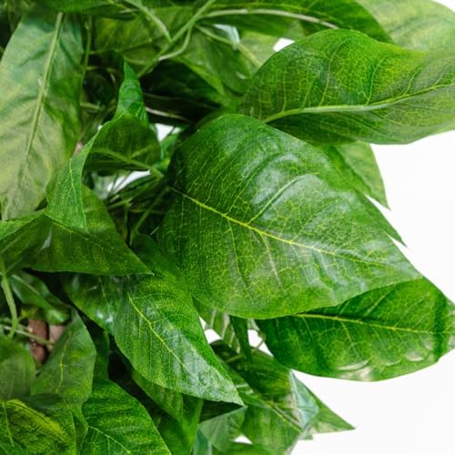 Blaine - Fake Mango Tree 5 FT Lifelike Faux Plant for Living Room Decor - Image 7