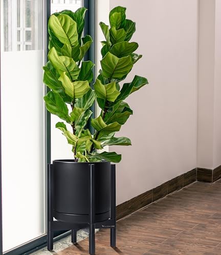 D'vine Dev Ceramic Pot with Ebony Wood Stand, Black, 12 in, 55-B-H-2 - Image 4