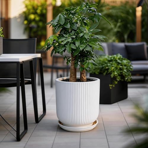 Deep Dream 12 Inch Ceramic Pots for Plants, Heavy Plant Pot for Indoor Outdoor Plants, Large Plant Pot with Drainage Hole and Saucer, Modern Tall Flower Pot, Gifts for Plant Lovers, White - Image 4