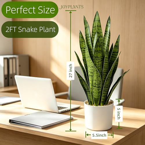 2.3FT Fake Snake Plant 27in Sansevieria Potted Plant in White Pot - Image 2