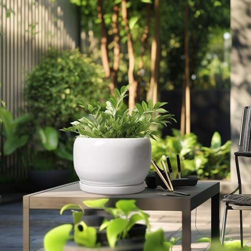 SQOWL Ceramic Pot for Plants - 10 Inch Planter with Drainage Hole and Saucer, Round Ceramic Flower Pot for Indoor Outdoor, Modern Decorative Large Planter, Patio Decor, Gifts for Plant Lovers, White - Image 5