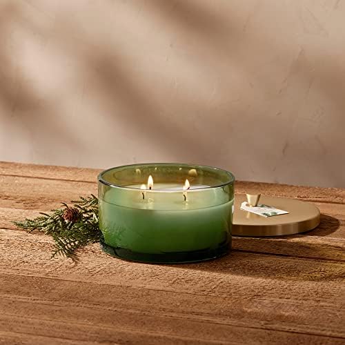 Thymes Frasier Fir Scented Candles for Home Decor – Green Heritage Holiday Candle – Notes of Siberian Fir Needles, Cedarwood & Sandalwood – Luxury Home Fragrance Gifts for Women & Men (4-Wick, 21 oz) - Image 2