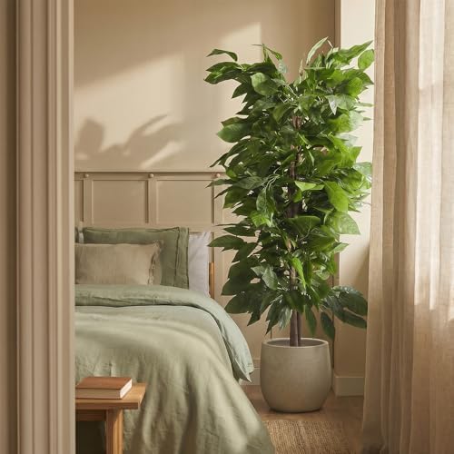 Blaine - Fake Mango Tree 6 FT Lifelike Faux Plant for Living Room Decor by Unknown