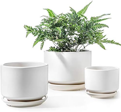 LE TAUCI Ceramic Pots for Plants, 4.3+5.3+6.8 Inch, Set of 3, White by LETAUCI