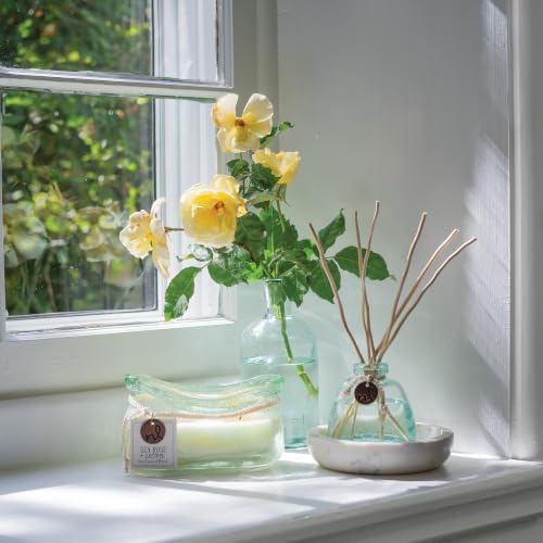 Northern Lights Candles - Windward Reed Diffuser - Seagrass & Aloe - 63610 - Image 6