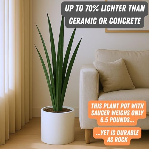 Fox & Fern Large Planter for Indoor or Outdoor, White Matte, 10 Inch - Image 4