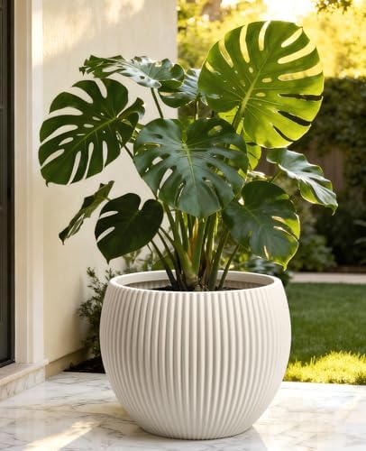 homenote 14.5 Inch Large Plastic Flower Pot with Drainage for Plants - Image 5