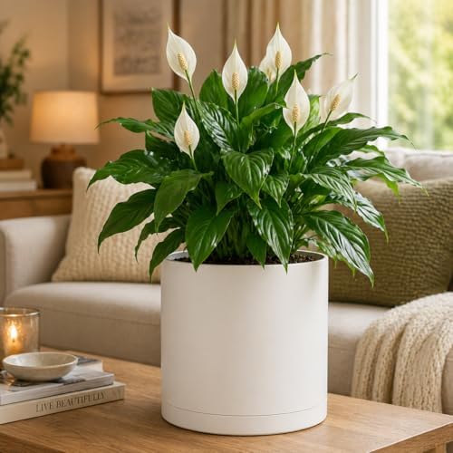 Giraffe Creation 14 Inch Cylinder Plant Pot, Modern Round Planter with Drainage Holes and Saucer, Durable Plastic Flower Pot for Indoor Outdoor Plants, White - Image 5