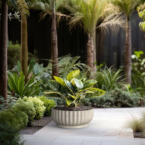 Kante Large Round Shallow Weathered Concrete Planter 20.9" Dia, Outdoor - Image 4