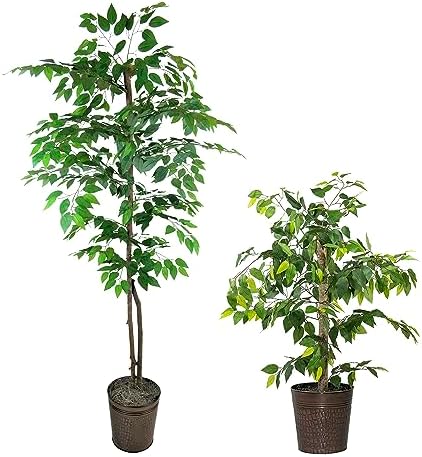 LCG Florals Artificial Ficus Trees in Copper Metal Pots, Set of 2 - Real Wood Trunk, No Maintenance Indoor Faux Plant - Living Room & Home Decor (4ft & 6ft) by LCGFlorals