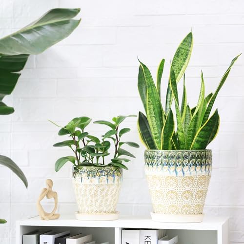 Ceramic Planter Pots for Indoor Plants, 8Inch + 6 Inch Plant Pot with Drainage Holes, Saucers and Mesh Pads, Succulent Orchid Flower Pot -Set of 2 - Image 7