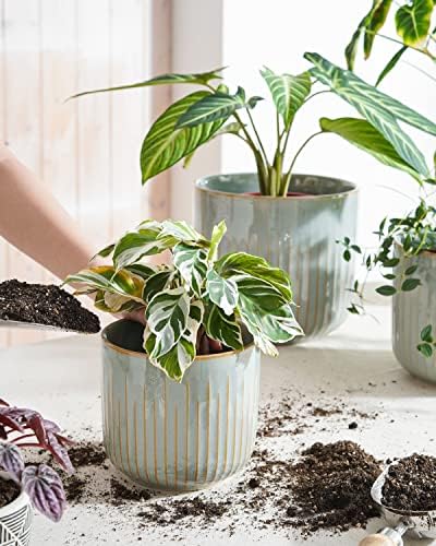 LE TAUCI Ceramic Pots for Plants, 8.3/7/6 Inch Indoor Planters with Drainage Holes & Mesh, Modern Glossy Glaze Cylinder Fluted Plant Pot for Snake Plant, Set of 3, Mist Gray - Image 2